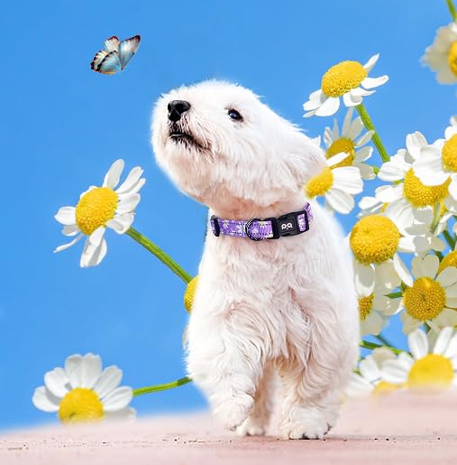 Cute Flower Dog Collar with Reflective Strip - Adjustable Pet Collar for Small Medium Large Dogs - Perfect for Walking, Running & Night Safety (Large, Purple) - Ideal for Daily Walks, Jogging & Outdoor Adventures