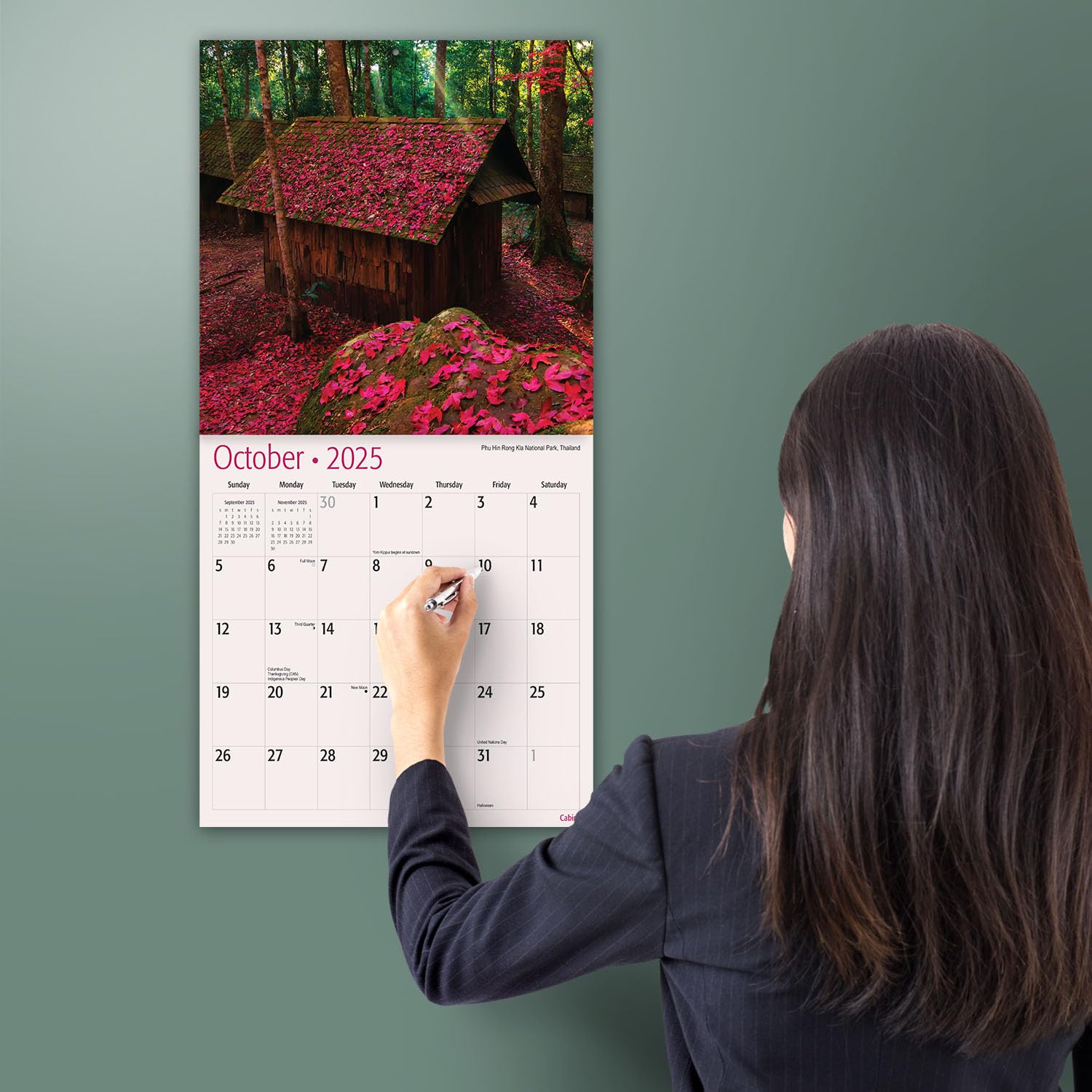 MICASA Cabins 2025 Wall Calendar - 12 Month Nature Scenes (12