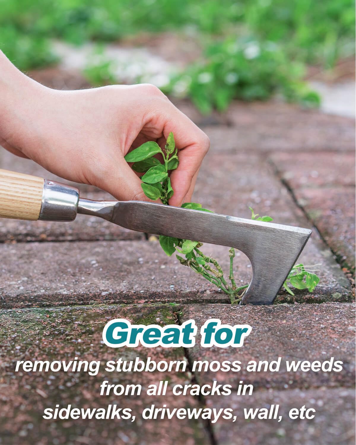 **Heavy Duty Crack Weeder Tool - Stainless Steel Weed Remover for Pavers, Sidewalks & Decks - Efficient Hand Hook for Weeding Between Bricks & Cracks - Perfect for Patio, Driveway & Garden Maintenance**