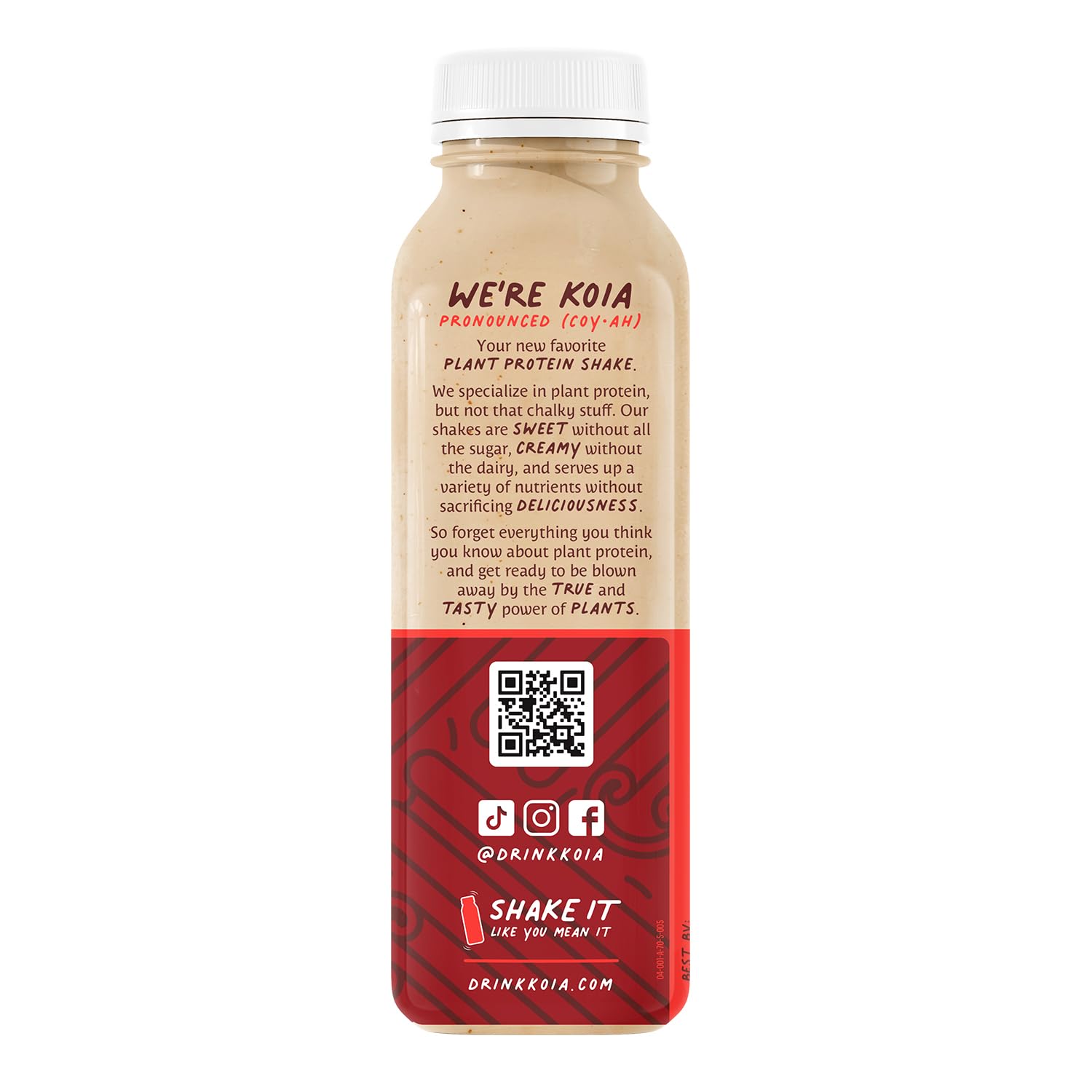 Koia Horchata Plant Protein Shake - 12 Fl Oz Ready to Drink, Dairy Free, Gluten Free, Soy Free, Non GMO, Vegan & Kosher Protein Drink with Cinnamon | Perfect for Post-Workout Recovery, Breakfast On-the-Go & Healthy Snacking