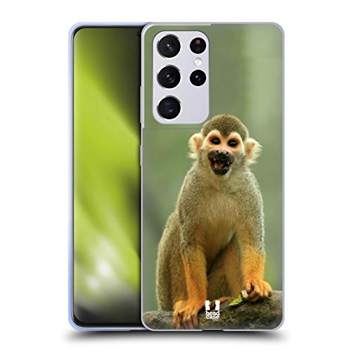 Common Squirrel Monkey