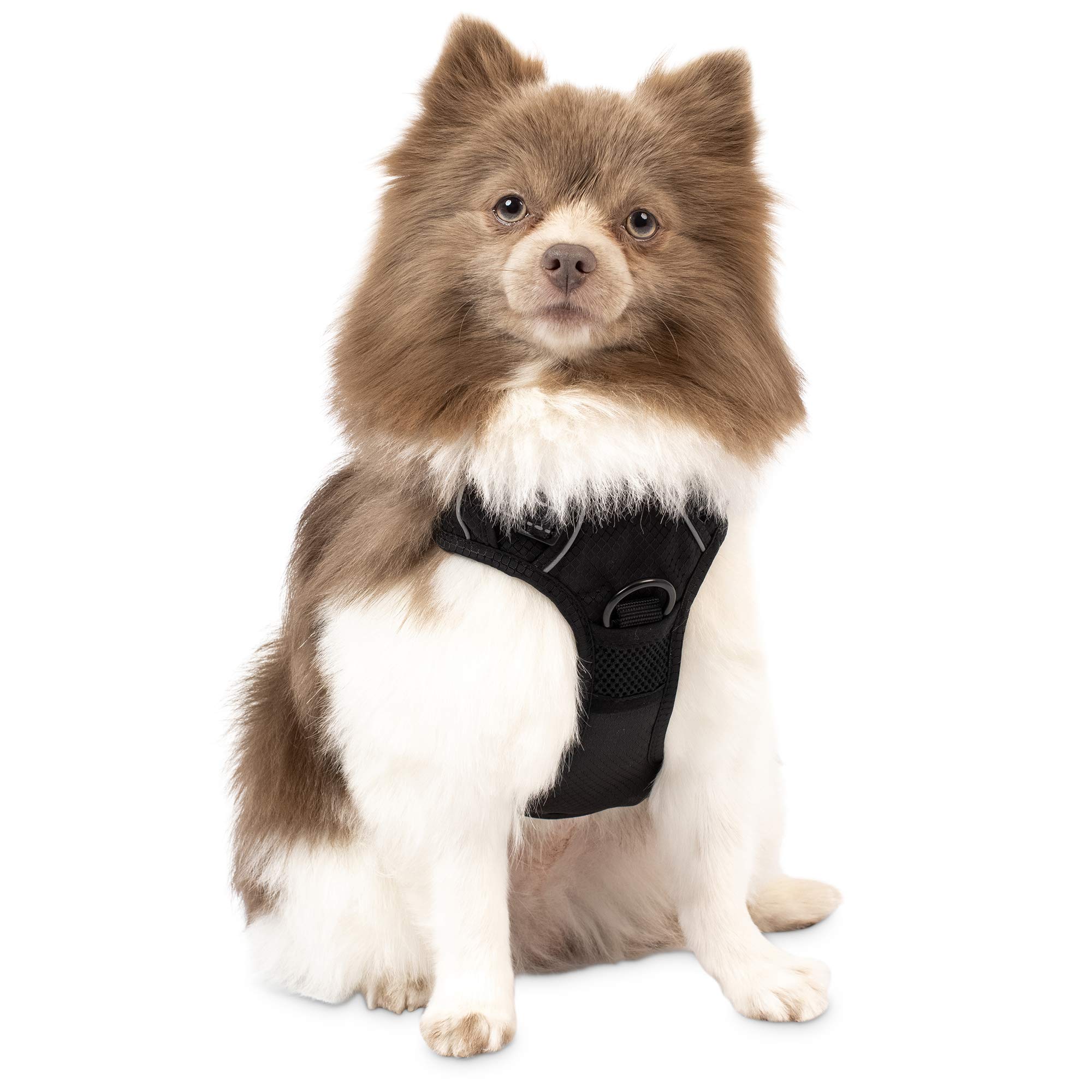Premium Small Dog Harness for Walking & Training - Durable Pet Safety Vest with Adjustable Straps - Perfect for Outdoor Adventures, Hiking & Daily Walks