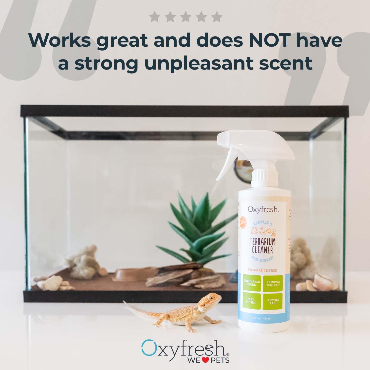 Oxyfresh Premium Terrarium Cleaner for Reptiles & Amphibians | Safe, Fast-Acting Odor & Waste Remover | Streak-Free Glass Cleaner | Non-Toxic, Bleach-Free Formula | Ideal for Terrarium, Vivarium & Pet Habitat Maintenance