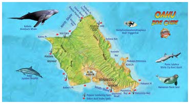 Premium Large Microfiber Oahu Beach Towel - Super Absorbent, Quick Dry, Sand-Free - Perfect for Beach, Pool, Travel & Yoga