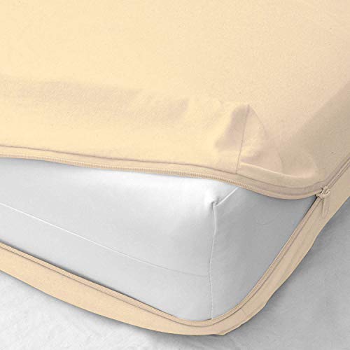 Ivory Solid