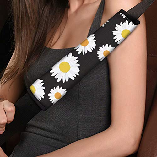 Daisy 3