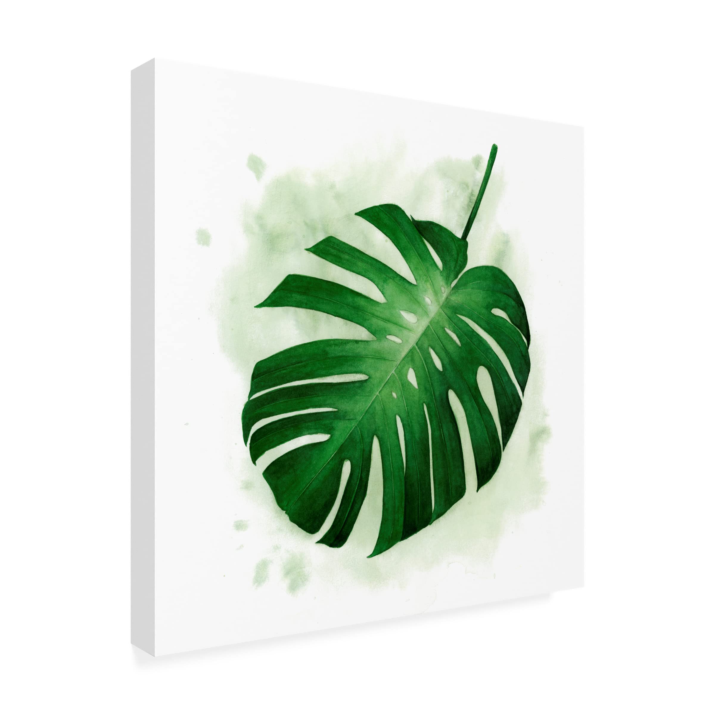 Grace Popp 'Palm Wash II' Canvas Wall Art Print - Modern Tropical Beach Decor for Living Room, Bedroom & Office - Trademark Fine Art Collection