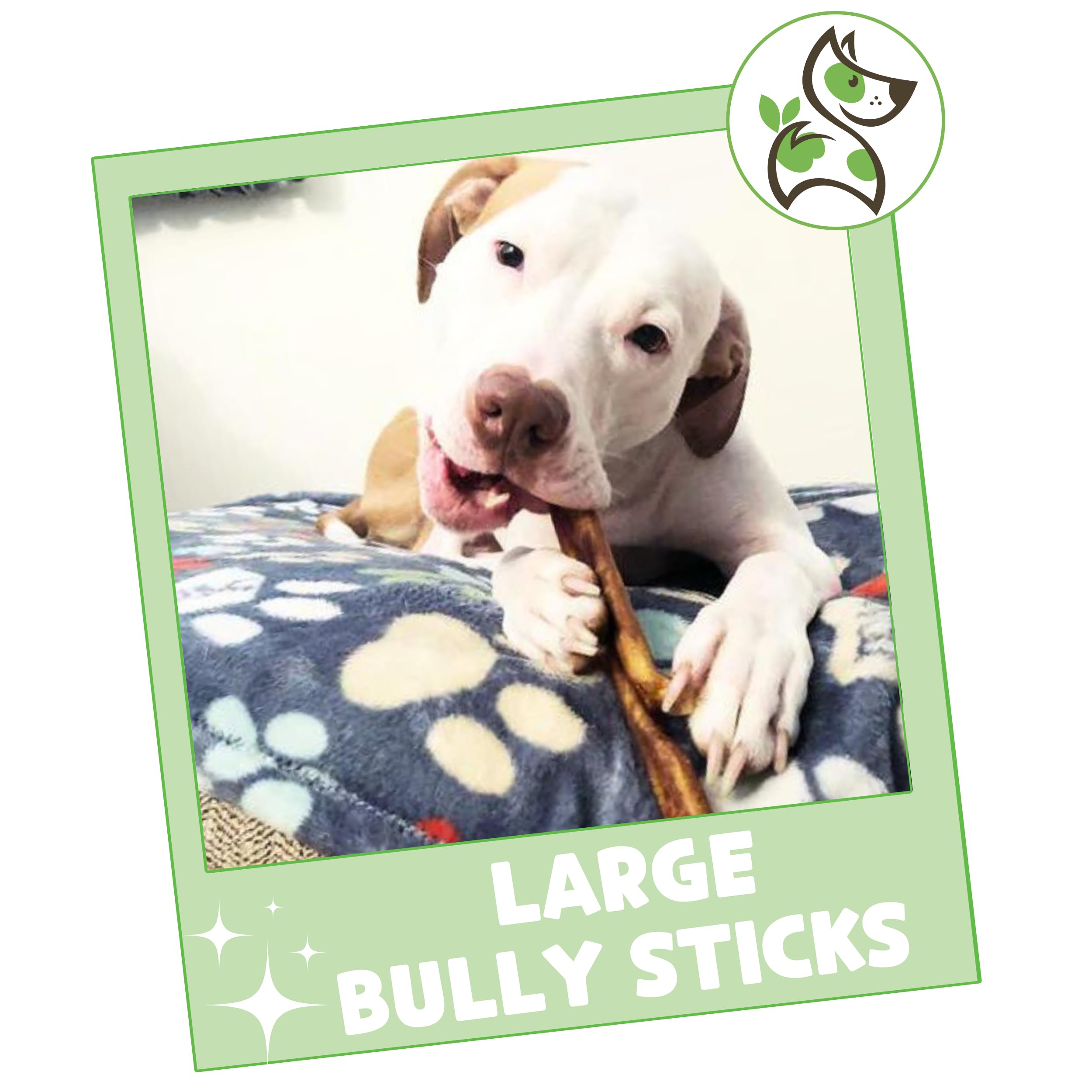 Nature Gnaws Large Bully Sticks for Dogs 5-6