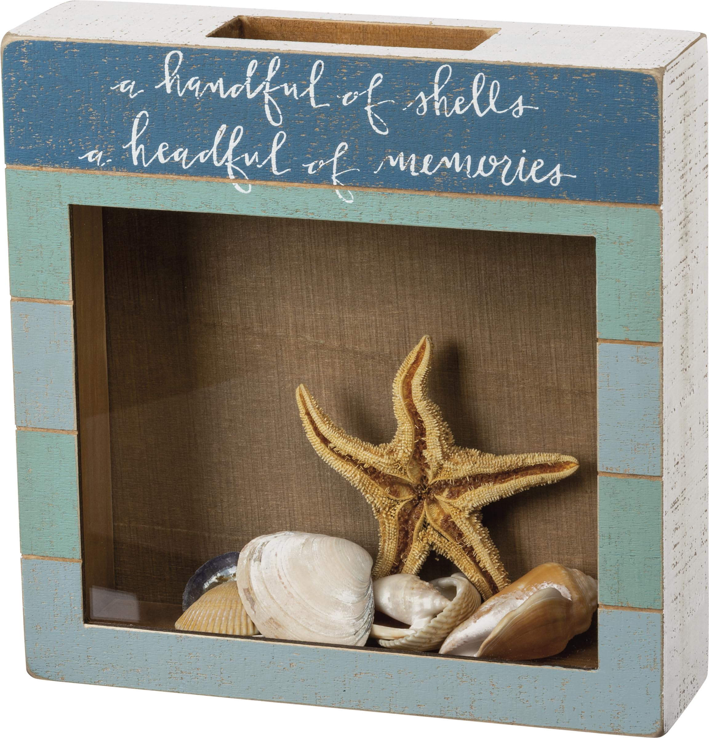 Primitives by Kathy Seashell Holder - Coastal Beach Decor, Glass Display Jar for Shells, Nautical Treasure Box - Perfect for Bathroom, Bedroom & Beach House Decor