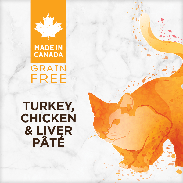Nutrience Grain Free Turkey, Chicken & Liver Pate Canned Cat Food - High Protein Wet Cat Food for Adult & Senior Cats - Perfect for Picky Eaters & Digestive Health Support
