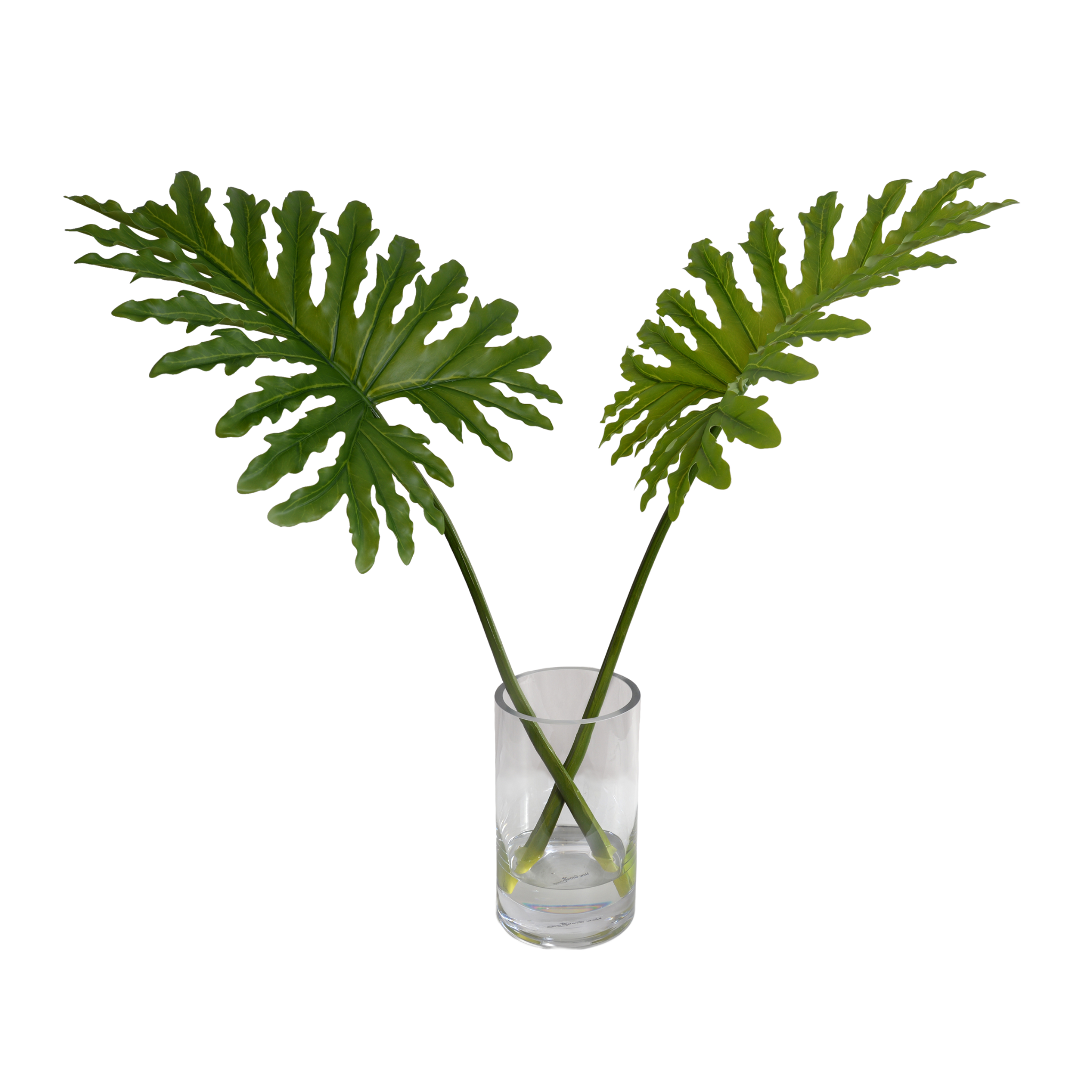 28 Pack Artificial Philodendron Selloum Leaves in Glass Vase - Realistic Fake Tropical Foliage for Home Decor, Wedding Centerpieces, and Office Greenery
