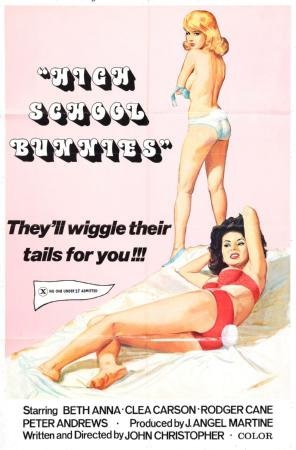 A Tale of Passion and Nostalgia: The High School Bunnies Poster