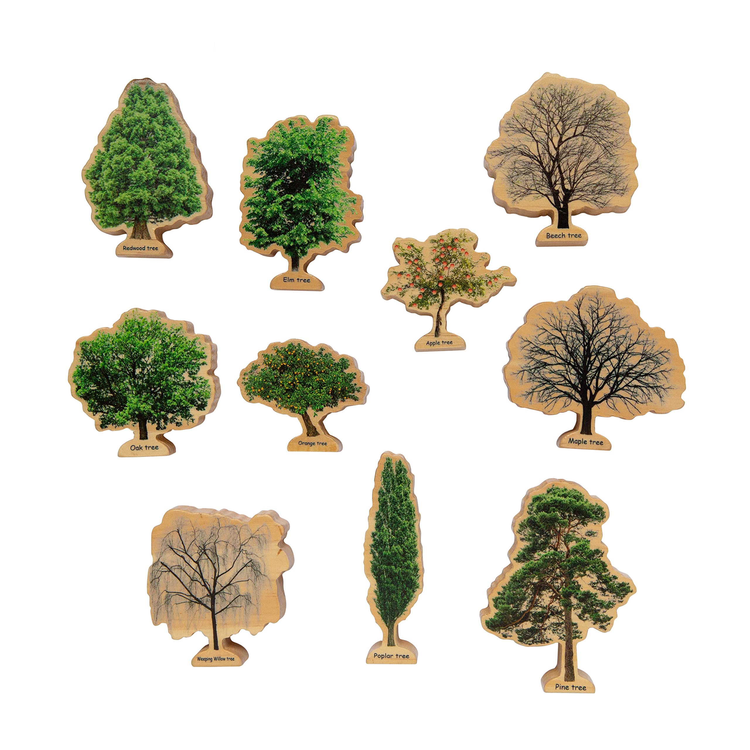 4 Seasons Wooden Tree Decor - Handcrafted Home & Office Decoration for Spring, Summer, Fall, Winter | Perfect for Table Centerpiece, Shelf Display, and Seasonal Gift Giving