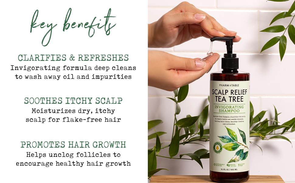 Tea Tree Shampoo for Men & Women - Sulfate-Free Deep Cleansing Formula with Tea Tree Oil, Mint, Biotin & Vitamin E - Relieves Dry Itchy Scalp - 16.2oz Bottle - Perfect for Daily Hair Care & Scalp Treatment