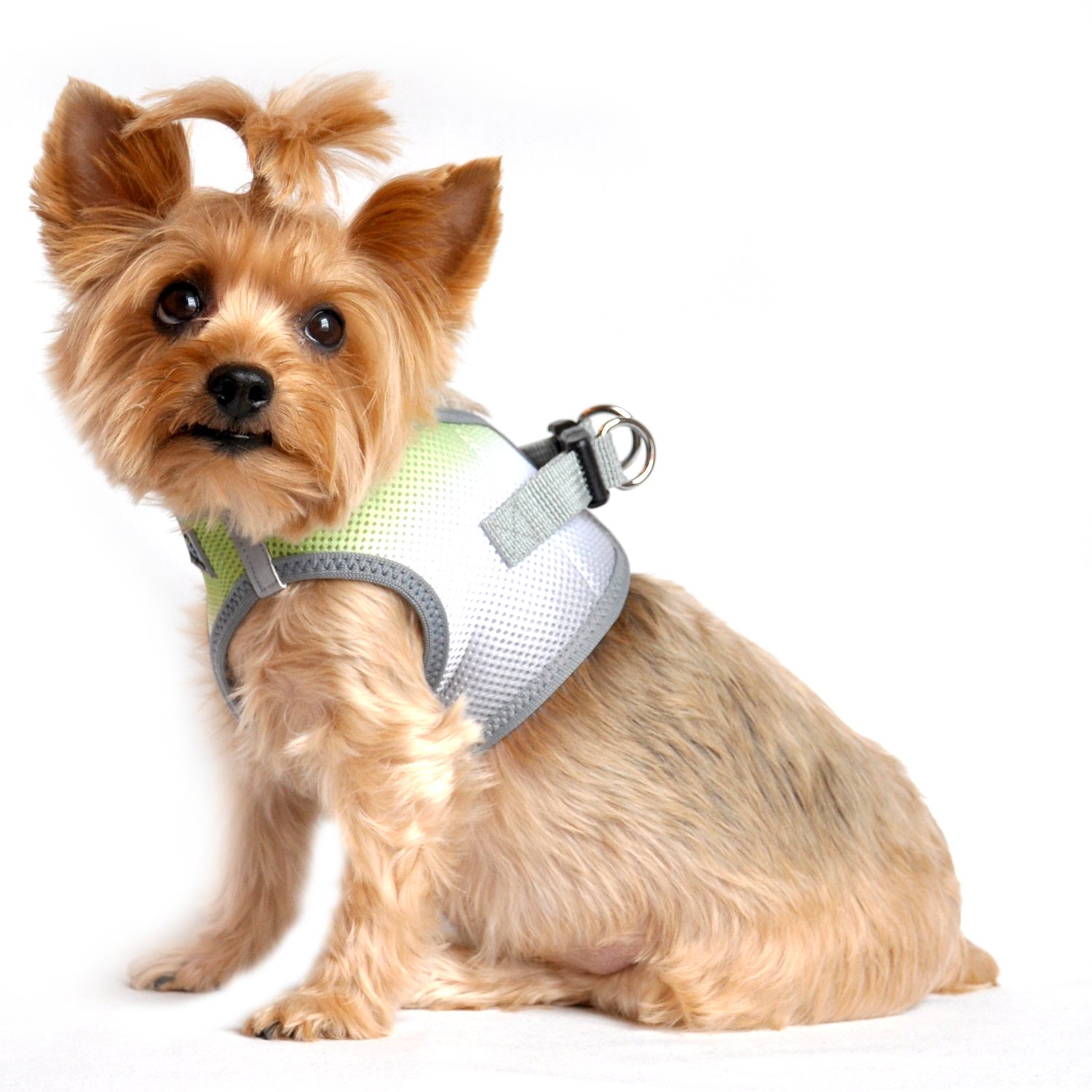 DOGGIE DESIGN American River Dog Harness - Ombre Collection in Limestone Gray | Adjustable No-Pull Vest for Small Medium Large Dogs | Perfect for Hiking, Running & Outdoor Adventures