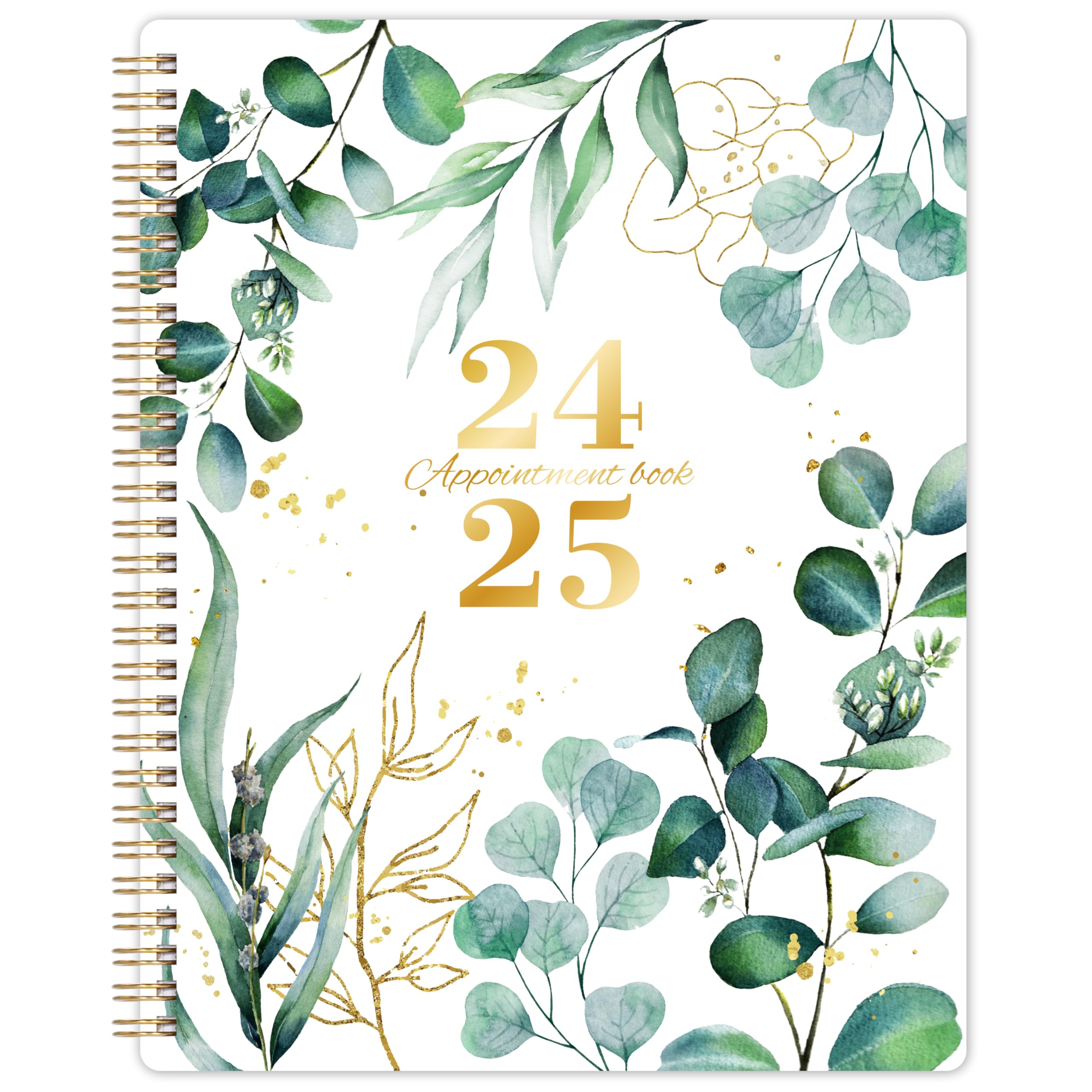 2024-2025 Appointment Book Planner - July 2024 to June 2025 Daily & Weekly Schedule Organizer with 30-Minute Intervals, 8