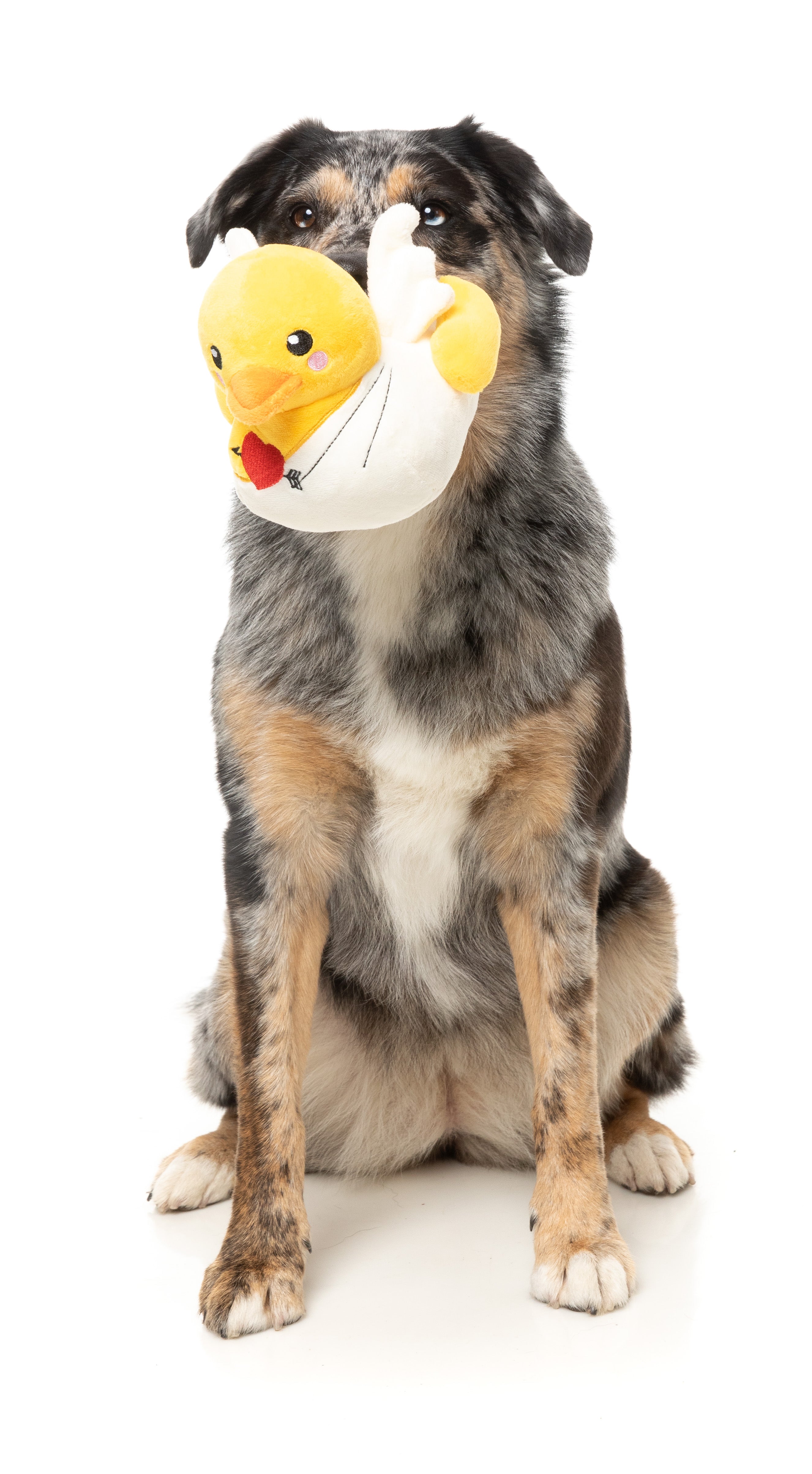Fuzzy Valentine's Day Plush Dog Toy - Cute Cupid Duck Design for Small & Medium Dogs | Perfect Gift for Pet Lovers | Indoor Play & Cuddle Companion