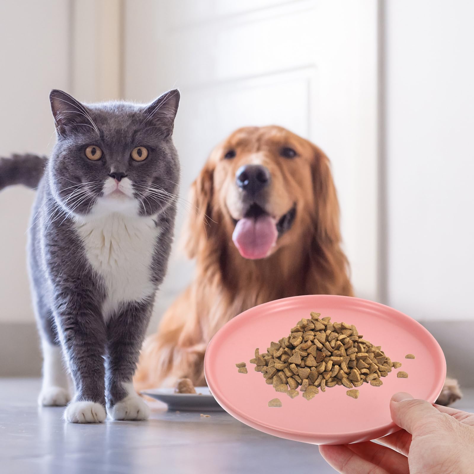 Premium Ceramic Cat Food Bowl - Shallow Dish for Dogs & Cats - Anti Whisker Fatigue Design - Ideal for Dry, Wet Food & Water - Perfect for Indoor Cats & Kittens - Great for Home, Kitchen, or Pet Feeding Station