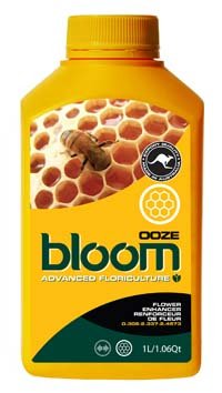 Yellow Ooze Bloom Bottles - 1 Liter Leak-Proof Container for DIY Slime, Science Experiments & Kids Crafts