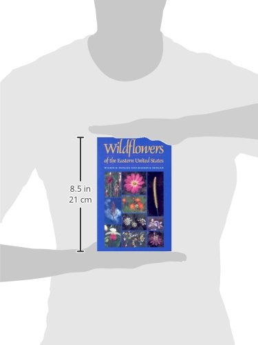 Wildflowers of the Eastern United States - Illustrated Field Guide Book for Nature Lovers | Wormsloe Foundation Nature Books | Perfect for Hiking, Gardening, and Nature Study