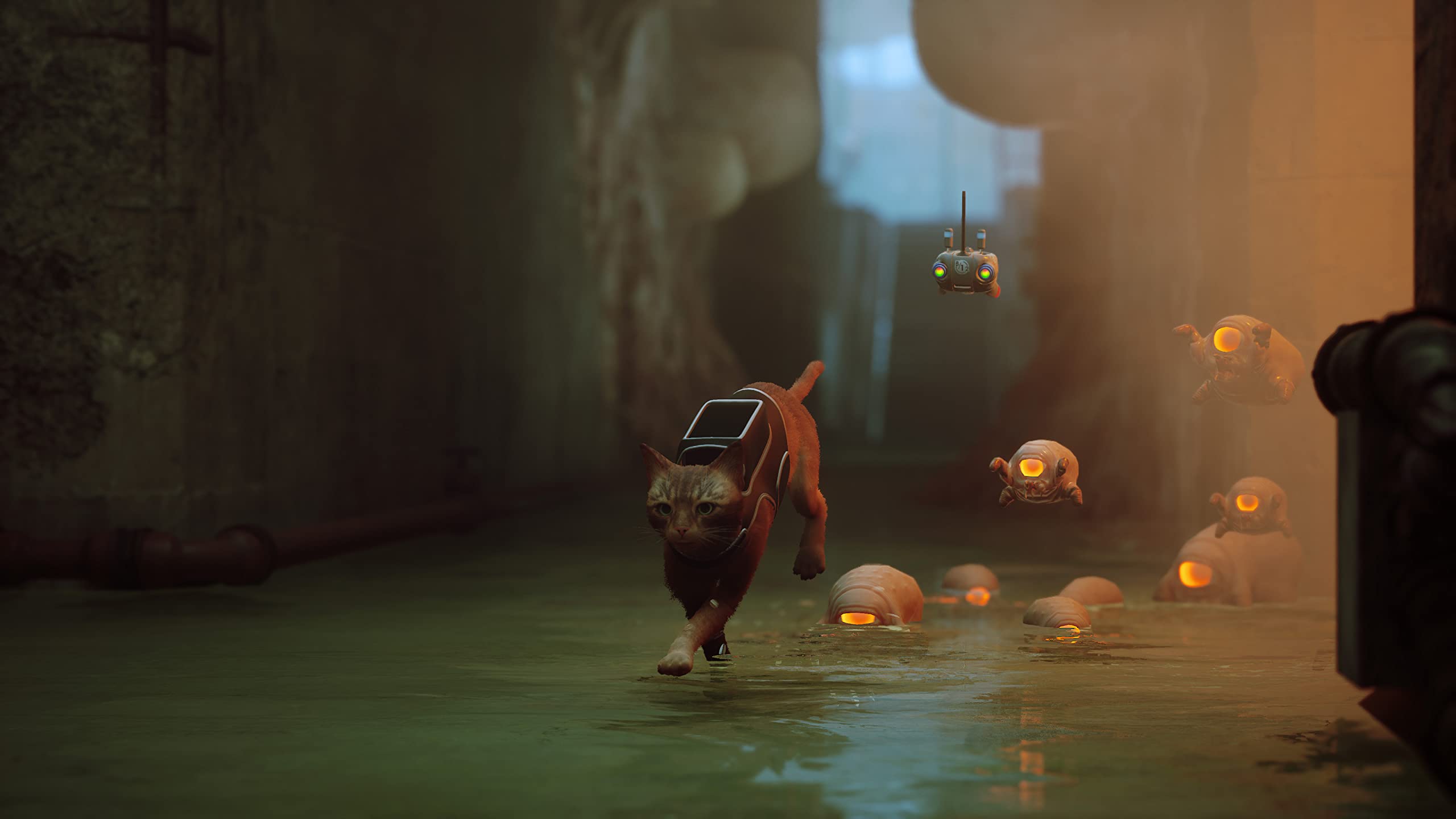 Stray - PlayStation 4 Game | Adventure Cat Simulation | Explore Cybercity with Your Feline Friend | Perfect for Cat Lovers & Adventure Gamers