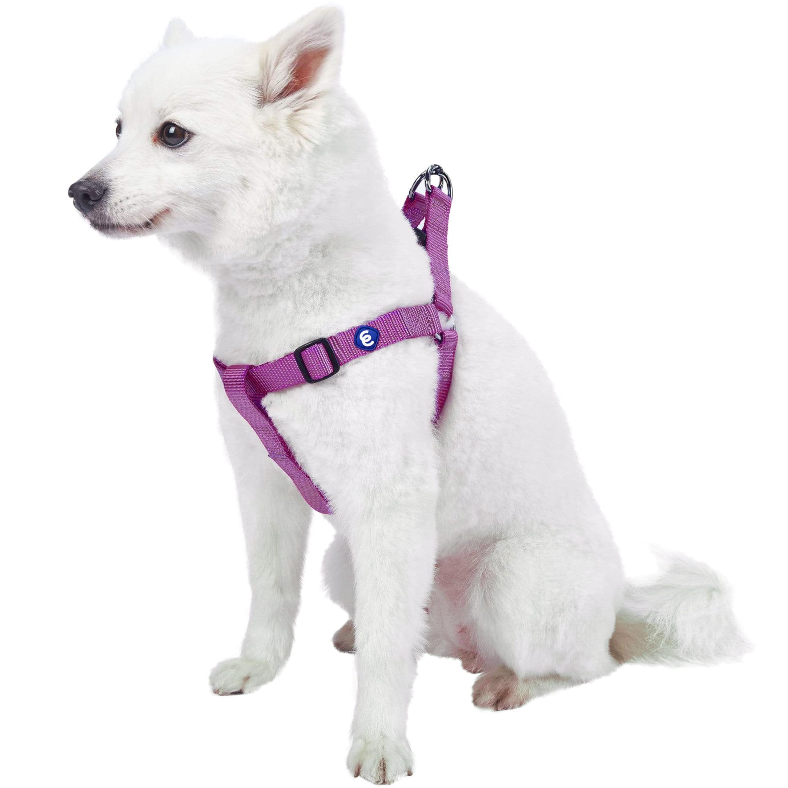 Blueberry Pet Essentials Adjustable Nylon No-Pull Dog Harness for Medium Dogs - Classic Solid Violet Color, Easy Walk & Step-In Design | Perfect for Daily Walks, Training, and Outdoor Adventures
