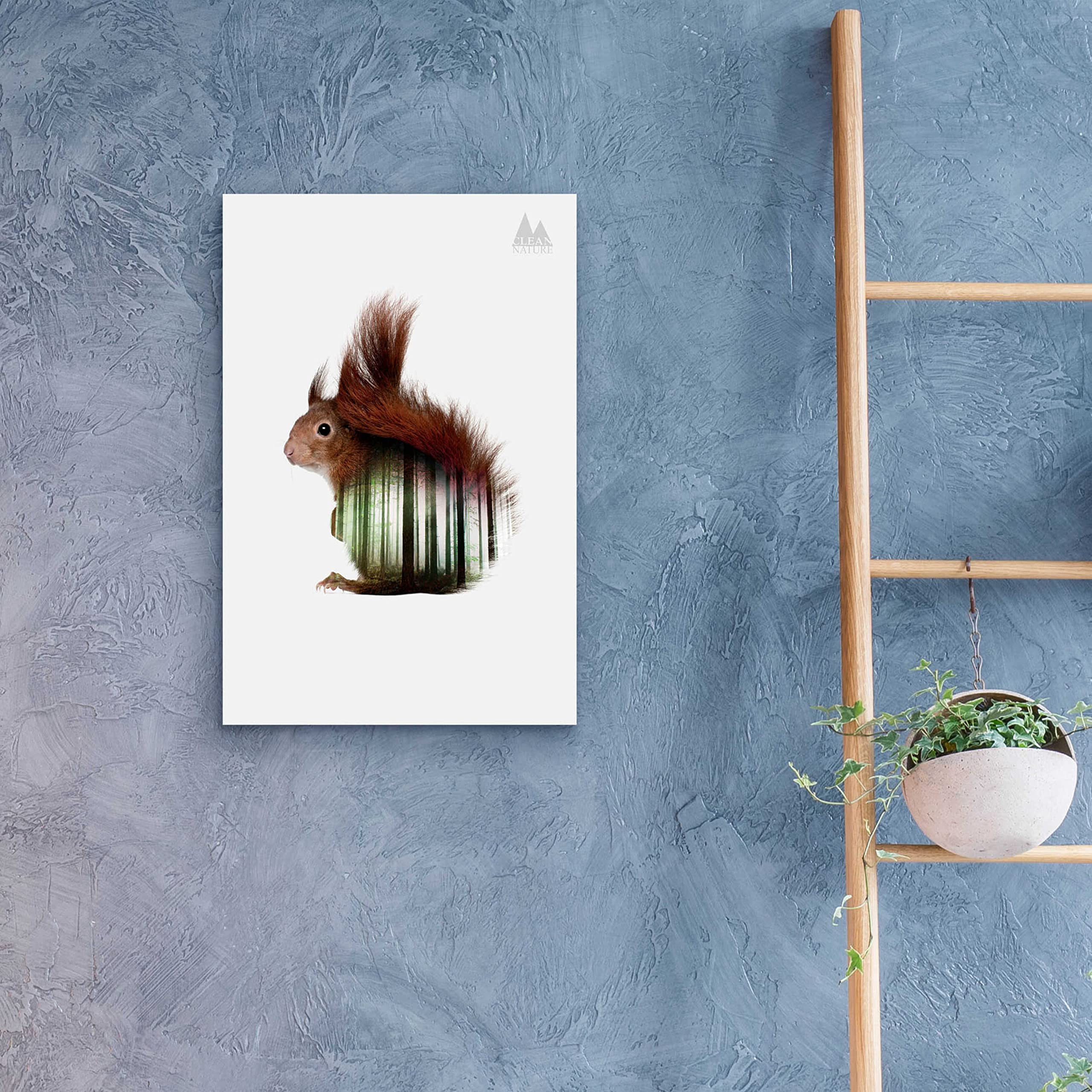 Epic Art 'Squirrel' by Clean Nature - Premium Acrylic Glass Wall Decor, 16x24 Inches - Perfect for Living Room, Bedroom & Office Decor