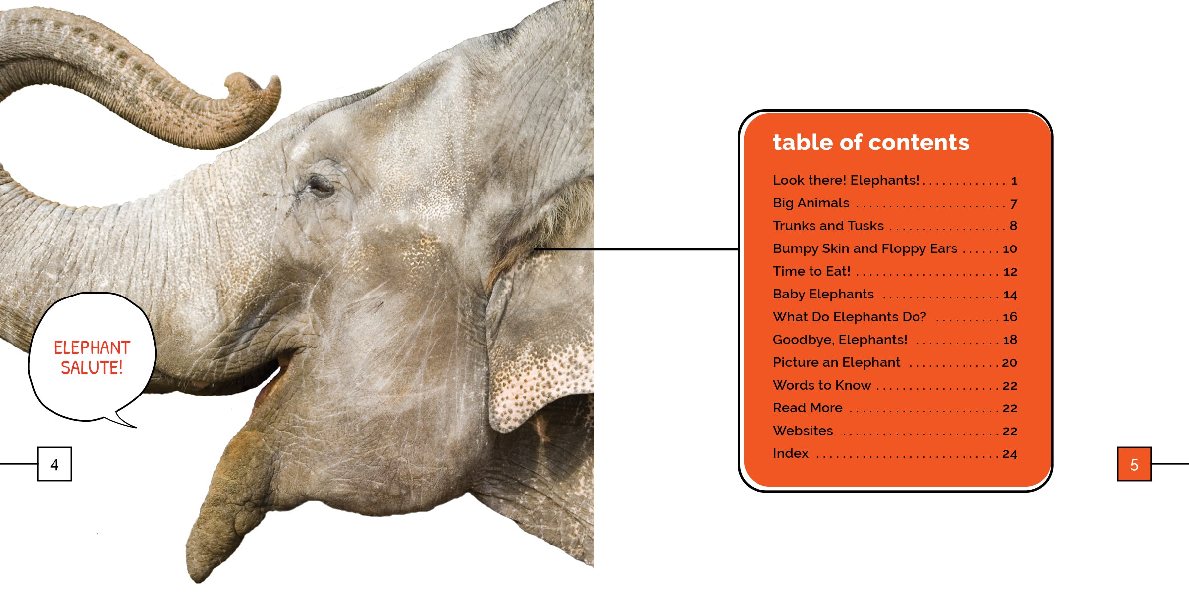 Elephants Book 9781640268401 - Wildlife Animal Encyclopedia for Kids & Adults - Perfect for School Projects, Nature Lovers & Home Library