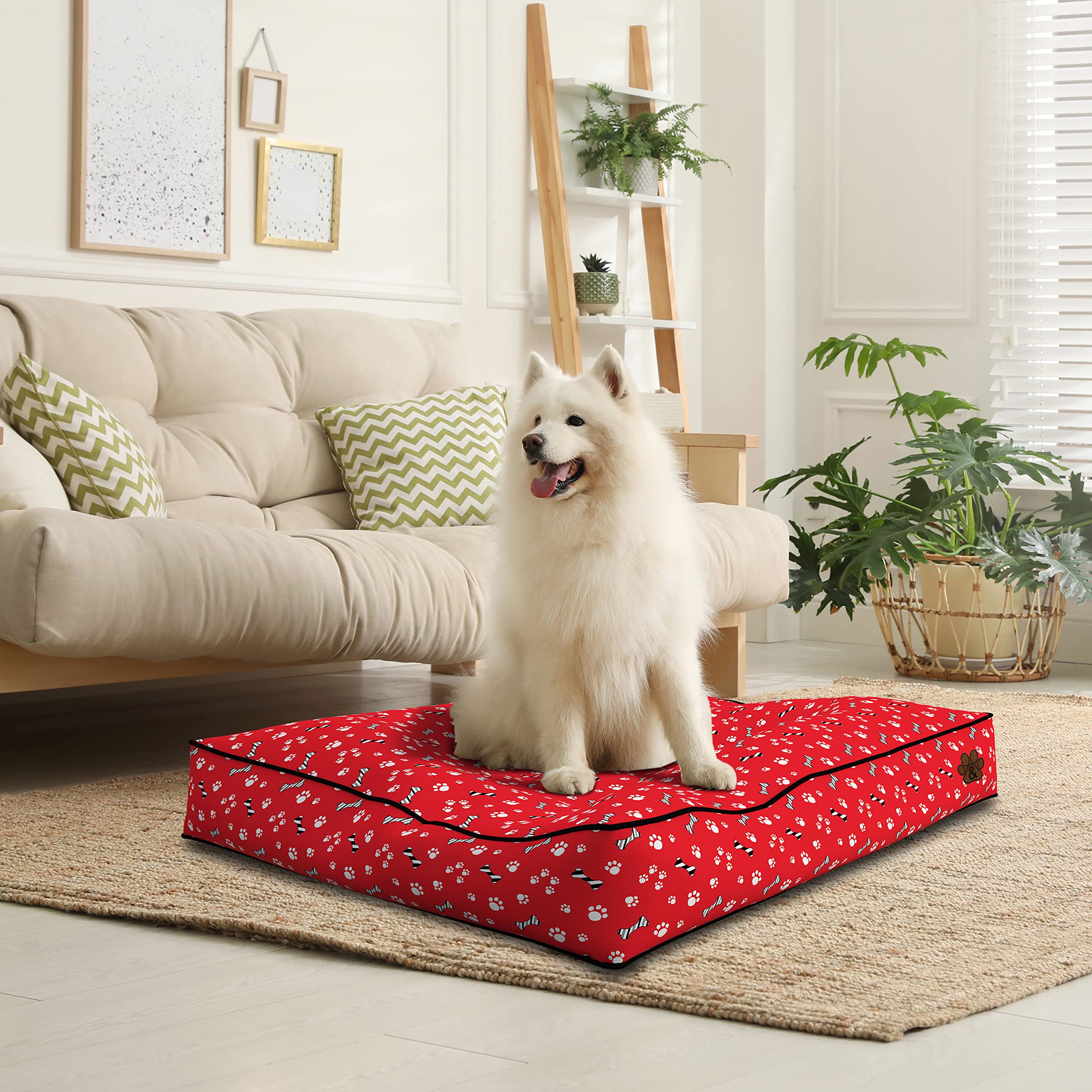 Premium Orthopedic Dog Bed for Large, Medium & Small Dogs - Soft Pet Bed with Removable Washable Cover, Waterproof & Non-Slip Bottom - Perfect for Crate, Kennel or Home Use (Pattern 02, Small)