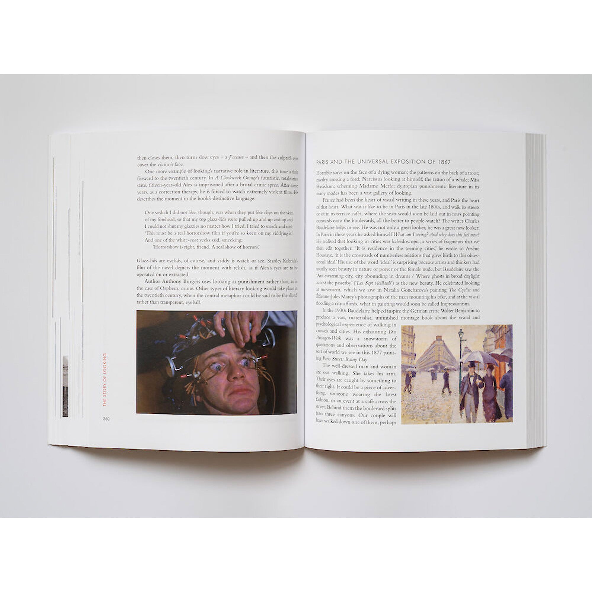 Story of Looking Softcover Book - Engaging Visual Narrative for Art Lovers & Readers | Perfect for Coffee Tables, Gifts & Book Clubs