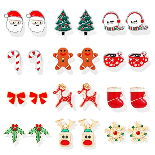B21：12 pairs christmas earrings