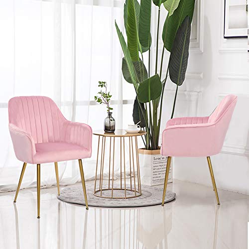 Pink Set of 2