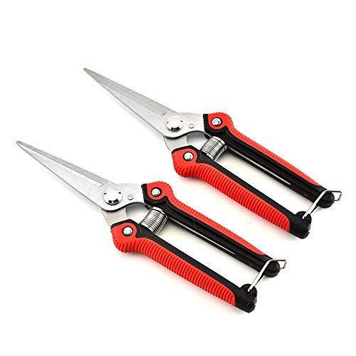 Stainless Steel Garden Pruning Shears - Professional Gardening Scissors for Trimming Trees, Flowers & Branches | Heavy Duty Plant Trimmer Tool for Home Gardeners & Landscaping Use