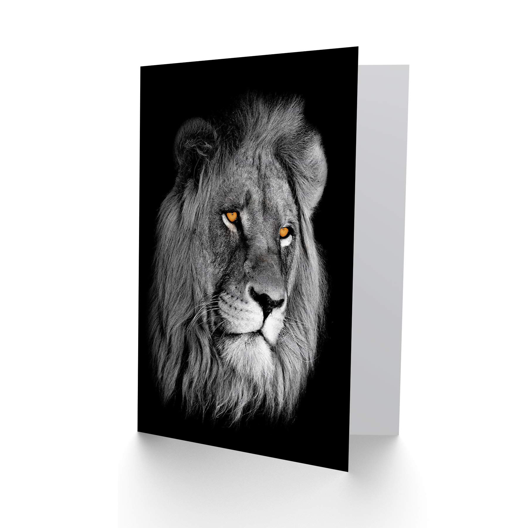 Wee Blue Coo African Lion Portrait Greeting Card - Perfect Cat Lover Birthday Gift & Wildlife Enthusiast Greeting Card for Special Occasions