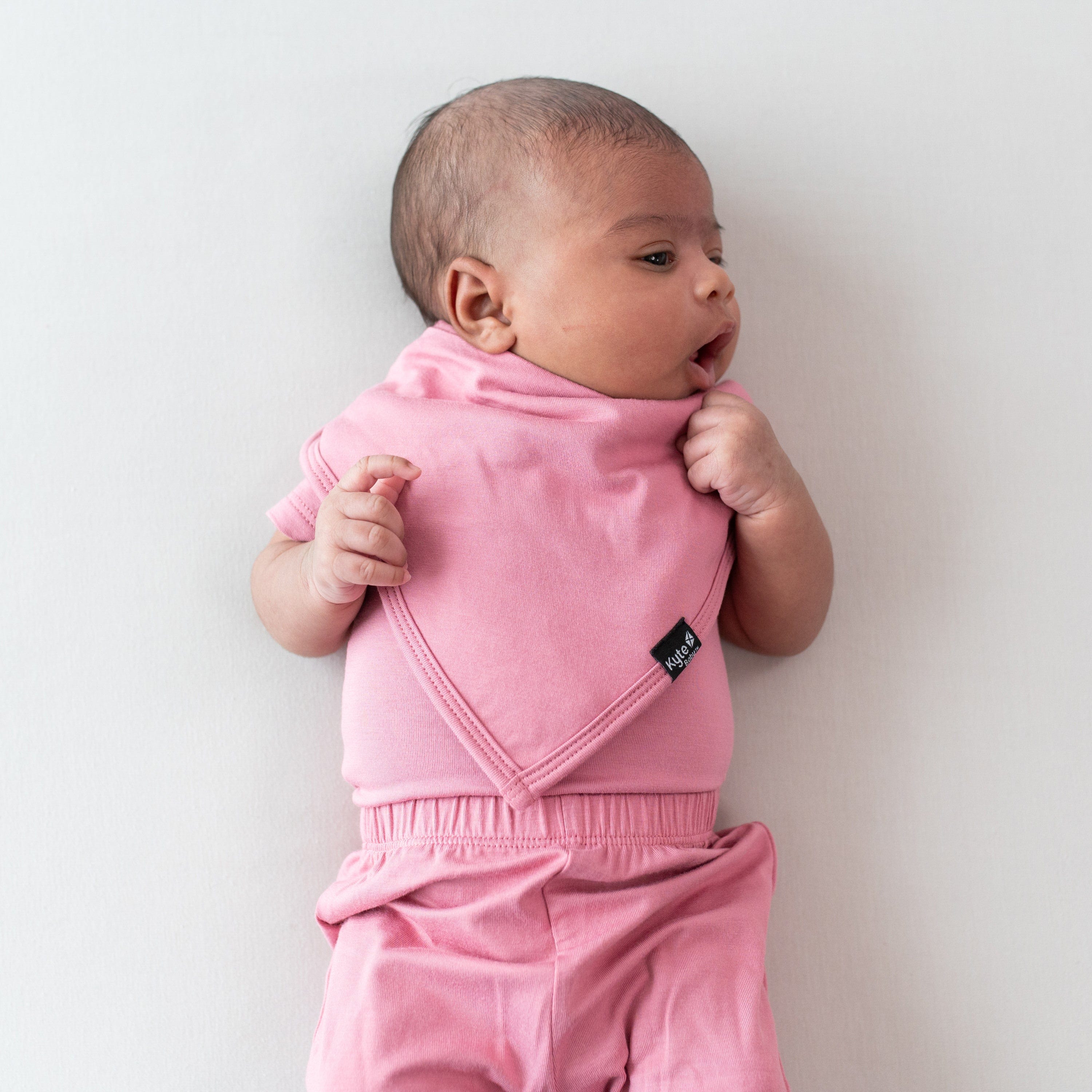Apple Blossom Baby Bib - Soft & Absorbent Drool Bibs for Infants & Toddlers - Perfect for Feeding, Teething & Messy Playtime