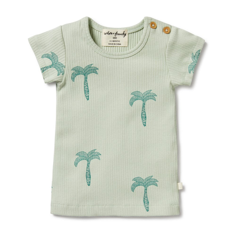Palm Tree