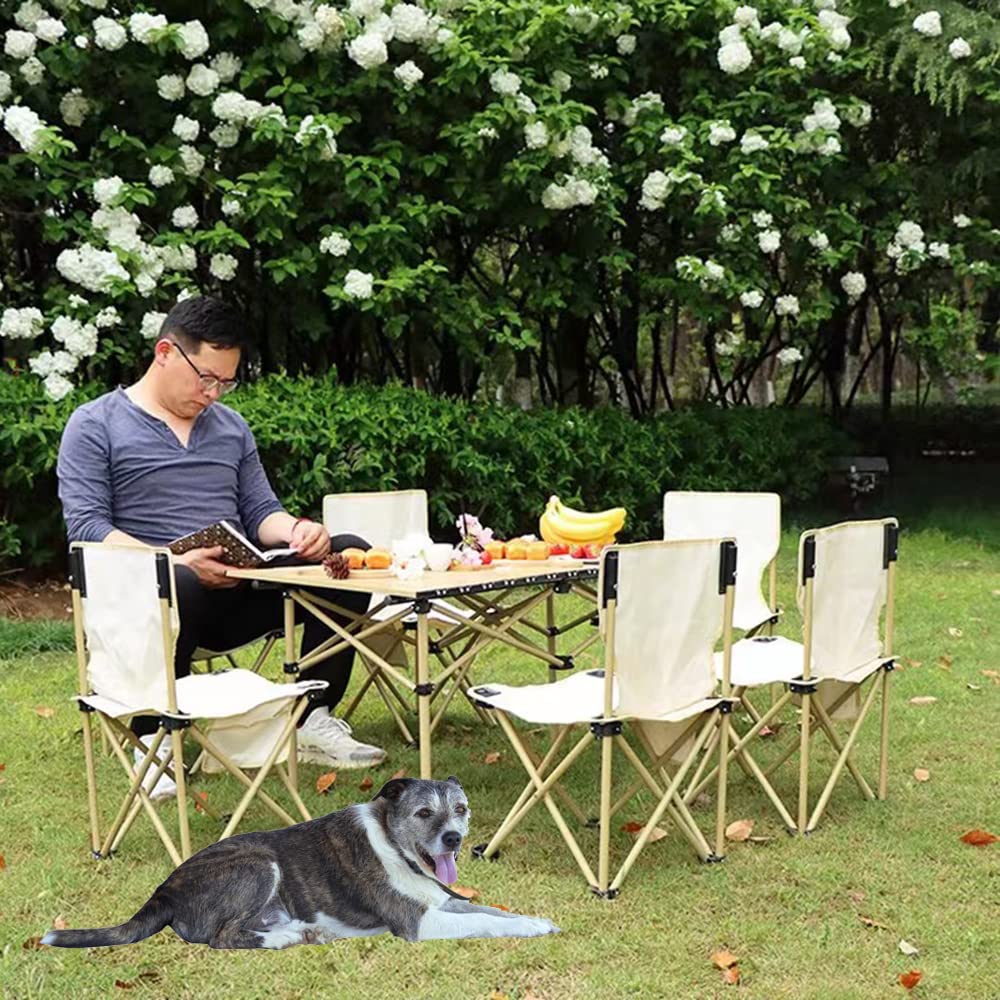 Best Foldable Camping Chair with Cup Holder & Side Pocket - Portable Lightweight Outdoor Chair for Camping, Beach, Fishing, Picnics & Backyard Relaxation