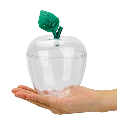 Clear(1 Pack)