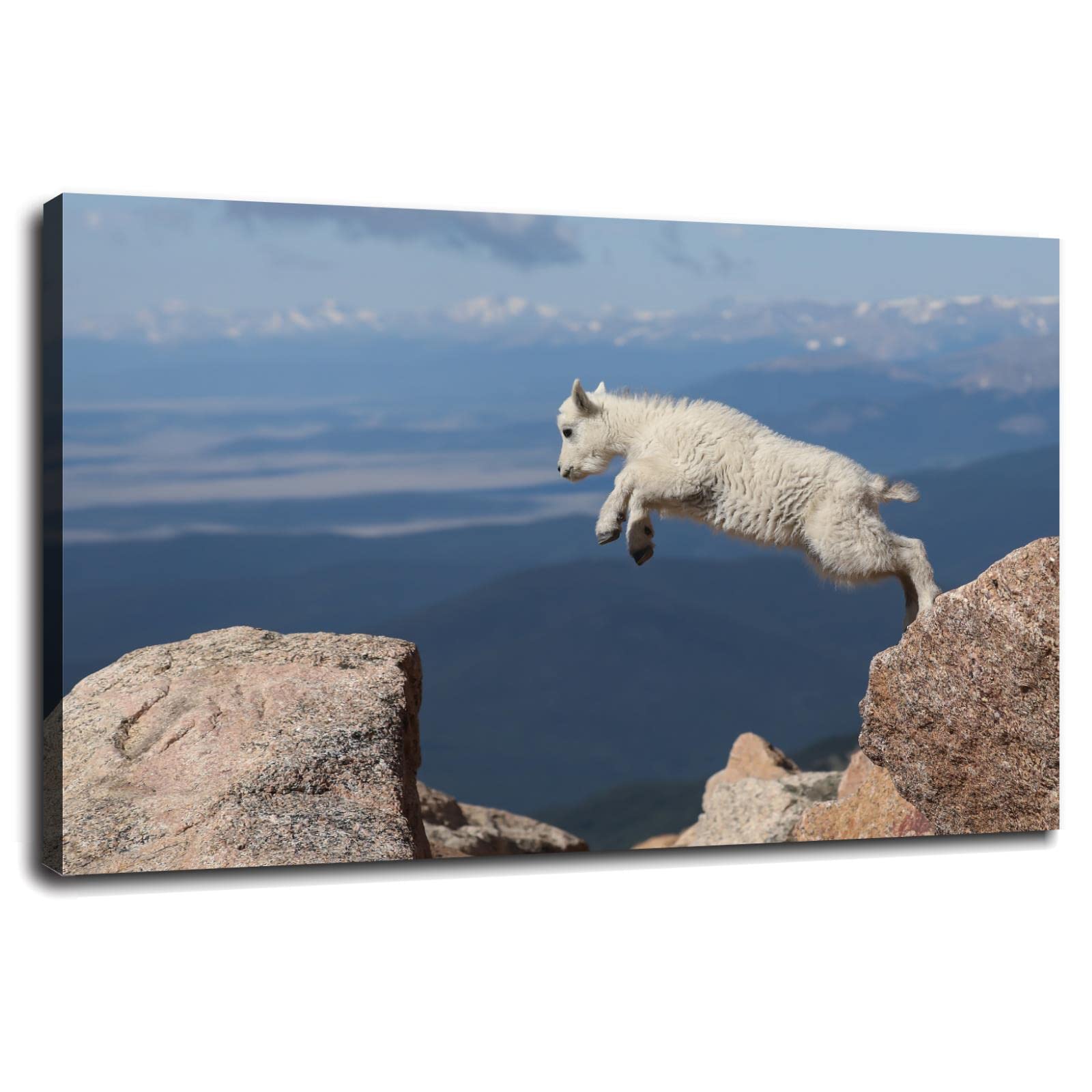 Cute Goat Wall Art Print - 36x24 Inch Framed Canvas Poster for Home & Office Decor - Perfect Gift for Animal Lovers, Nursery, Living Room or Bedroom