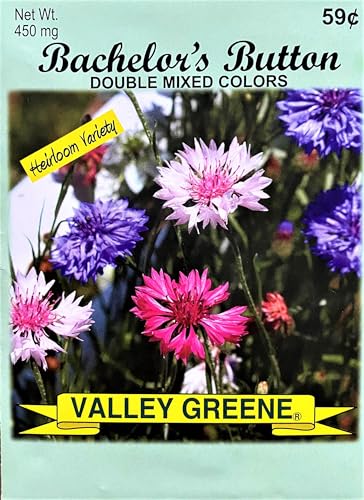 Bachelors Button - Double Mixed