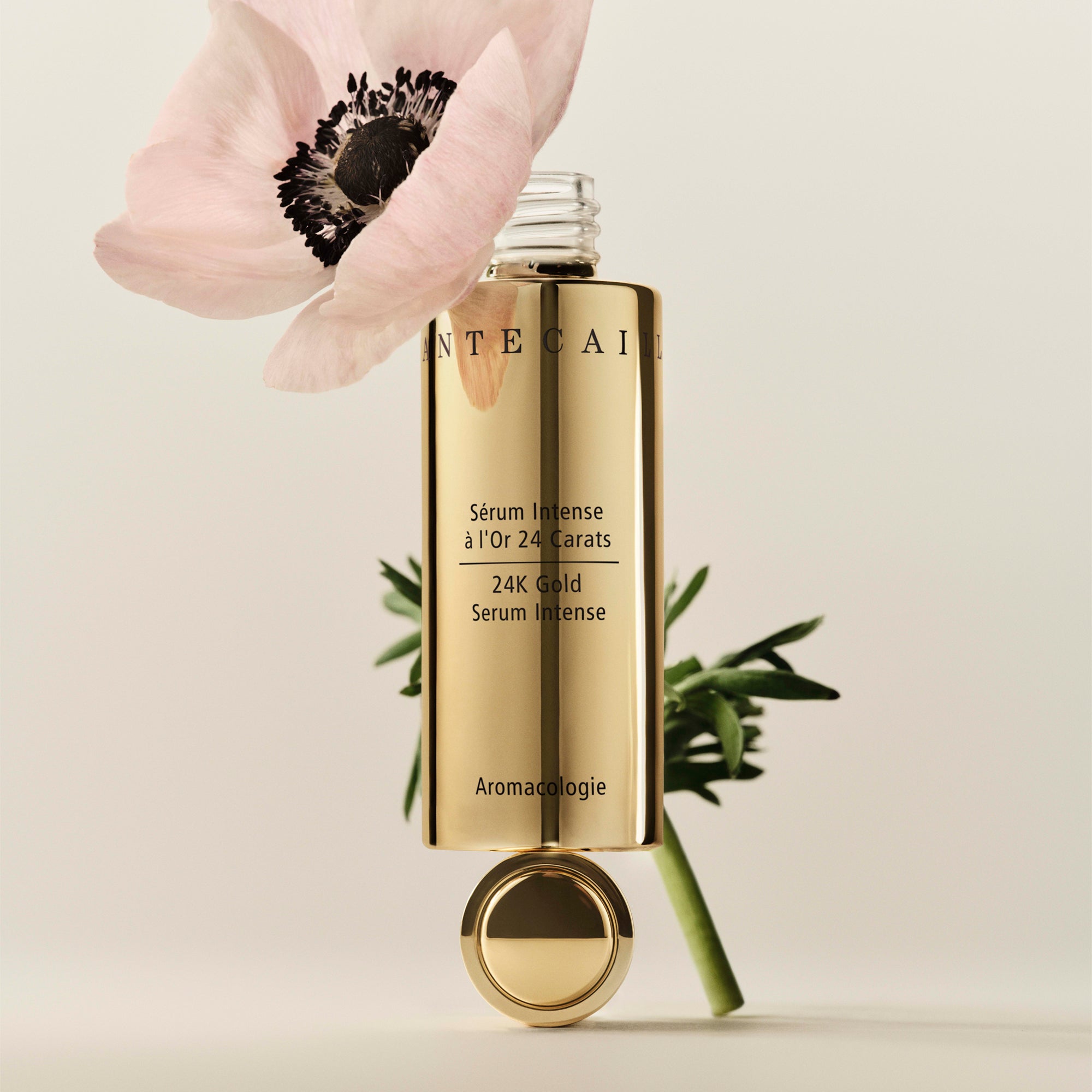 24K Gold Serum Intense - Anti-Aging Facial Treatment for Glowing Skin | Day & Night Hydration for Women & Men | Perfect for Dry Skin & Wrinkles Care