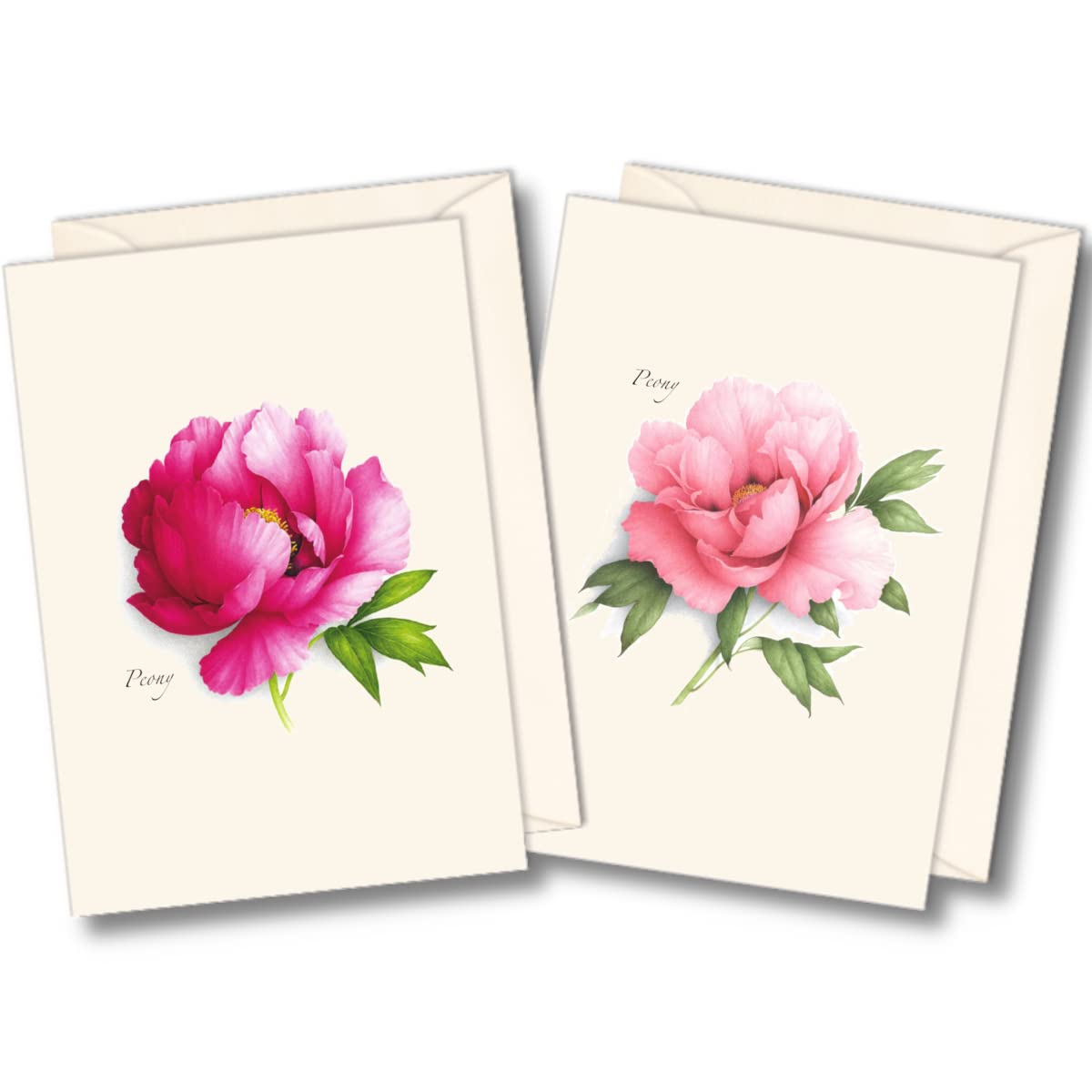 Earth Sky + Water - Peony Assortment Notecard Set - 8 Blank Greeting Cards with Envelopes (4 Each of 2 Floral Designs) - Perfect for Thank You Notes, Birthday Wishes & Special Occasions