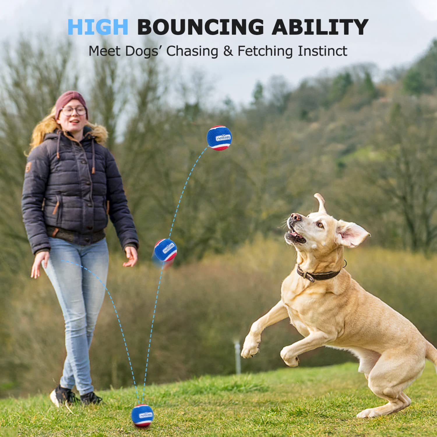 Nobleza 12 Pack Durable Natural Rubber Squeaky Tennis Balls for Dogs - Bouncy, Floatable & Interactive Dog Toys for Fetch, Training & Exercise - Perfect for Small & Medium Dogs (2.5 Inch) - Great for Backyard Play, Pool Fun & Outdoor Adventures