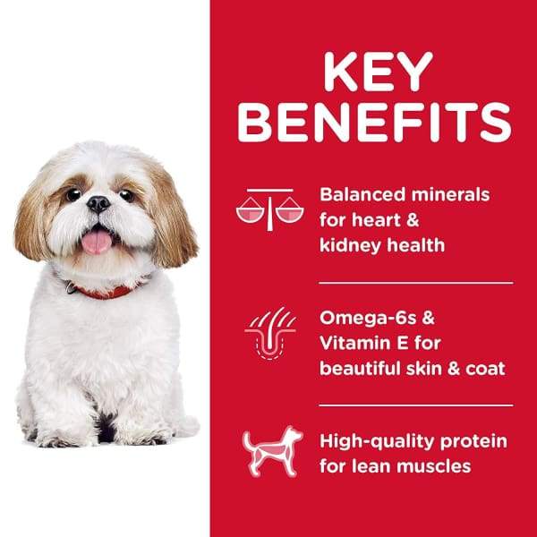 Hill's Science Diet Adult 7+ Small Bites Dry Dog Food - Chicken Meal, Barley & Rice Recipe for Senior Small Dogs (5lb & 15lb Bags) - Perfect for Aging Small Breed Dogs with Dental Issues