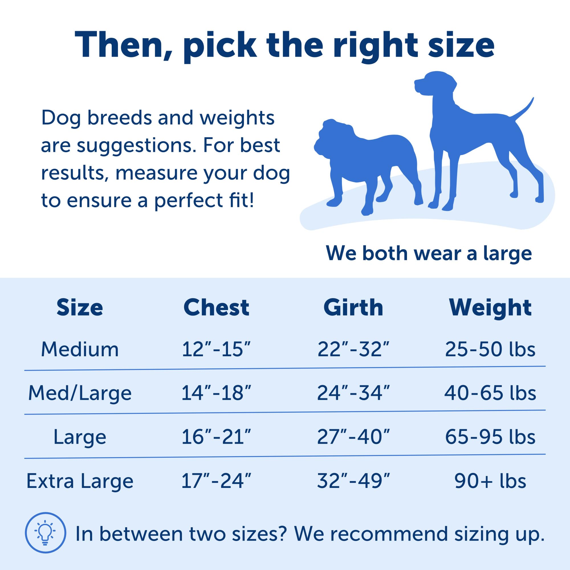 PetSafe Easy Walk No-Pull Dog Harness for Medium/Large Dogs - Stop Pulling & Improve Leash Training - Comfortable Apple Green/Gray Harness for Walking, Hiking & Outdoor Adventures
