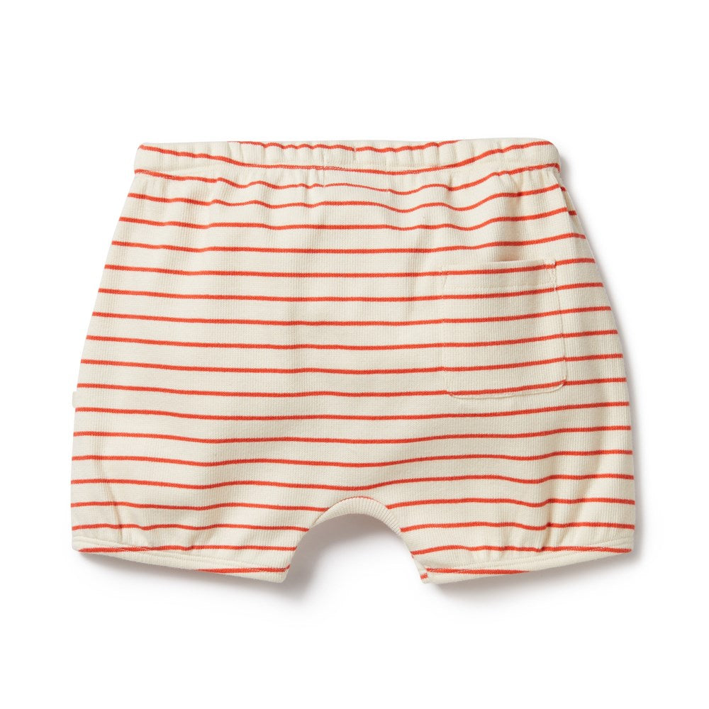 Organic Cotton Bloomer Shorts for Baby Girls | Soft & Breathable Petit Rouge Underwear | Perfect for Playtime, Diaper Covers & Everyday Comfort