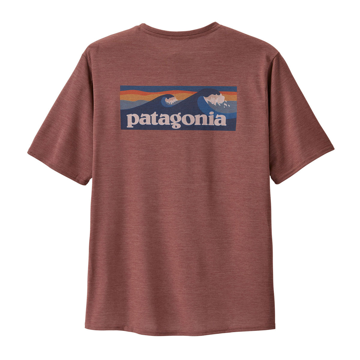 Men's Capilene Cool Daily Graphic T-Shirt | Moisture-Wicking & Breathable | Perfect for Hiking, Running & Outdoor Activities