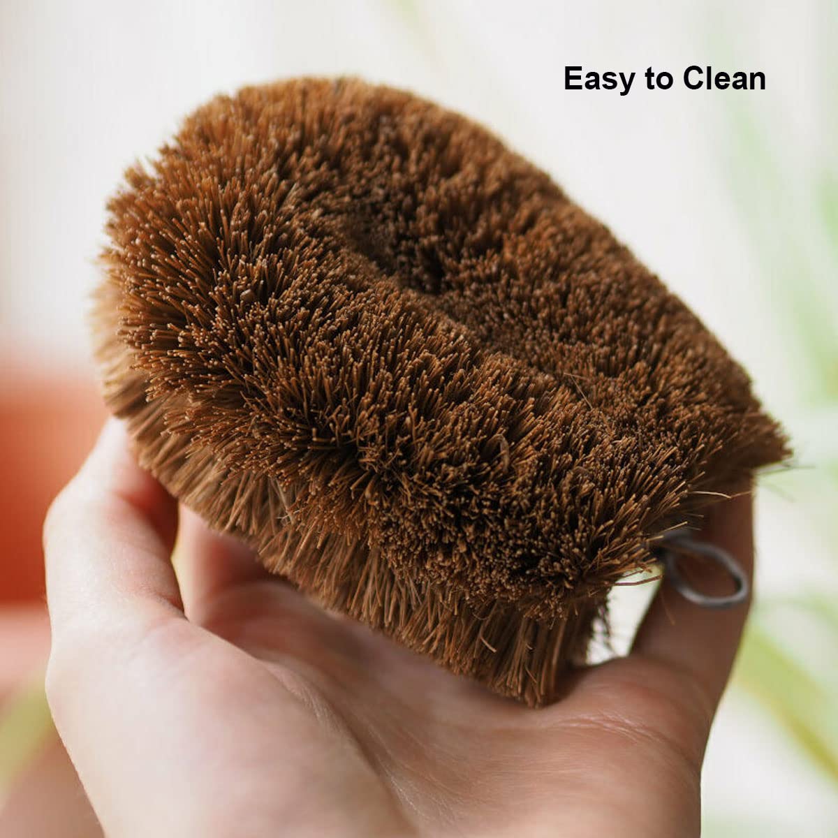 Natural Coconut Fiber Scrubber Brush for Fruits, Veggies & Kitchen Cleaning