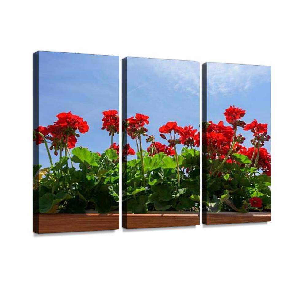 Red Geraniums Floral Canvas Wall Art Set - Modern Photography Print, Stretched & Framed 3-Piece Home Decor for Living Room, Bedroom & Office