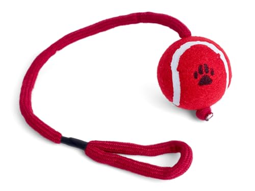 Tennis Ball on Rope
